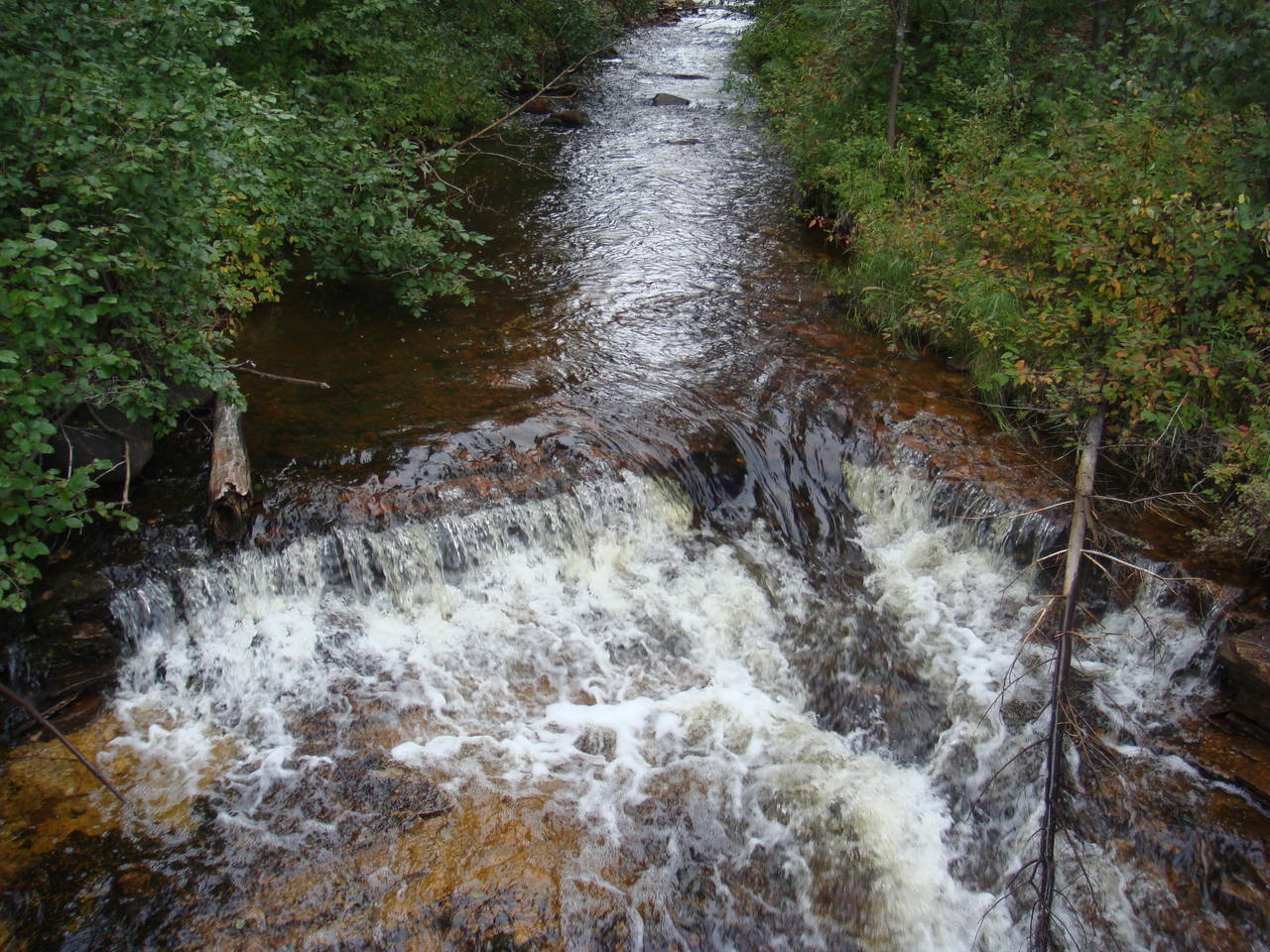 DSC03047