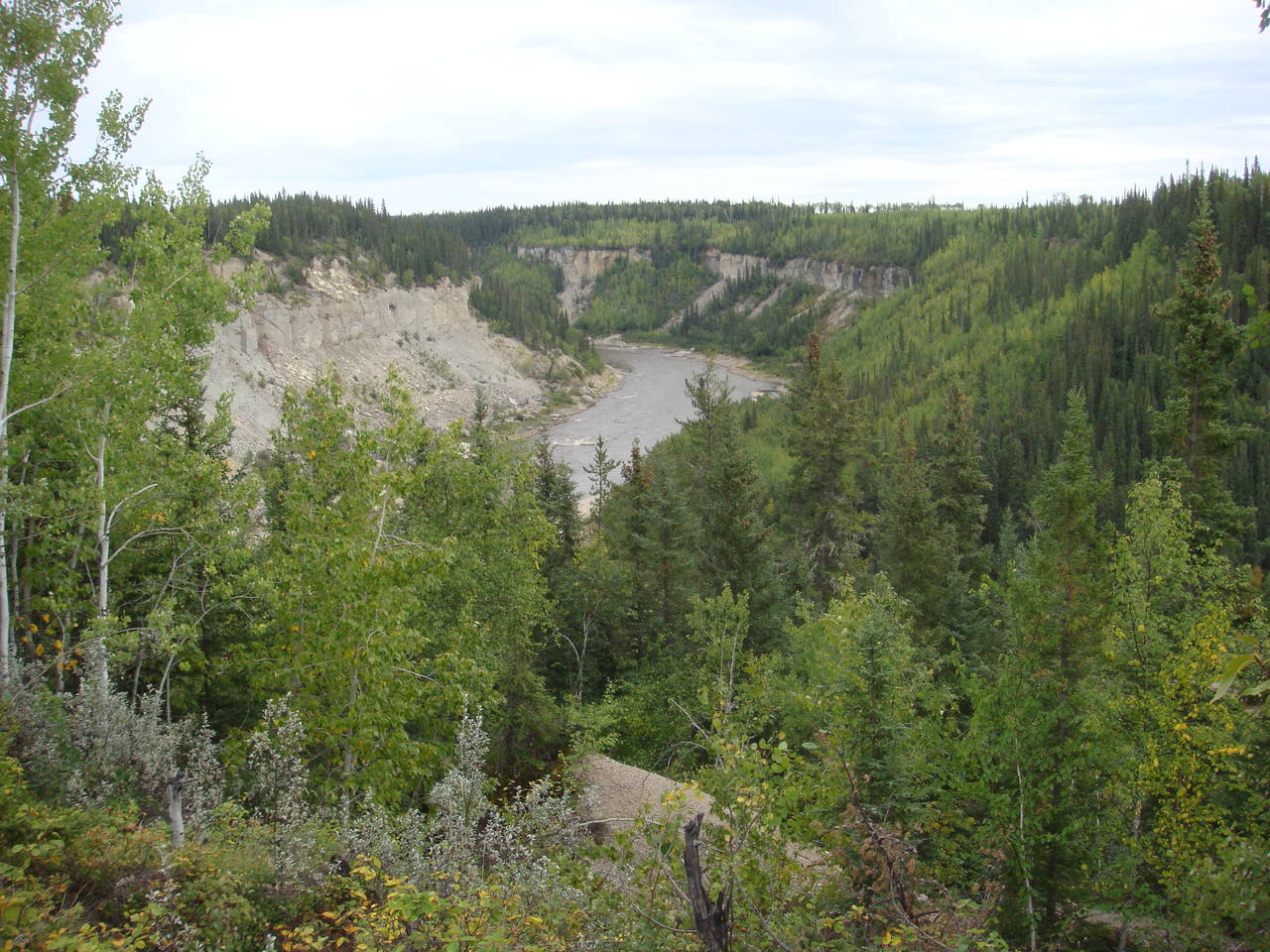 DSC03050