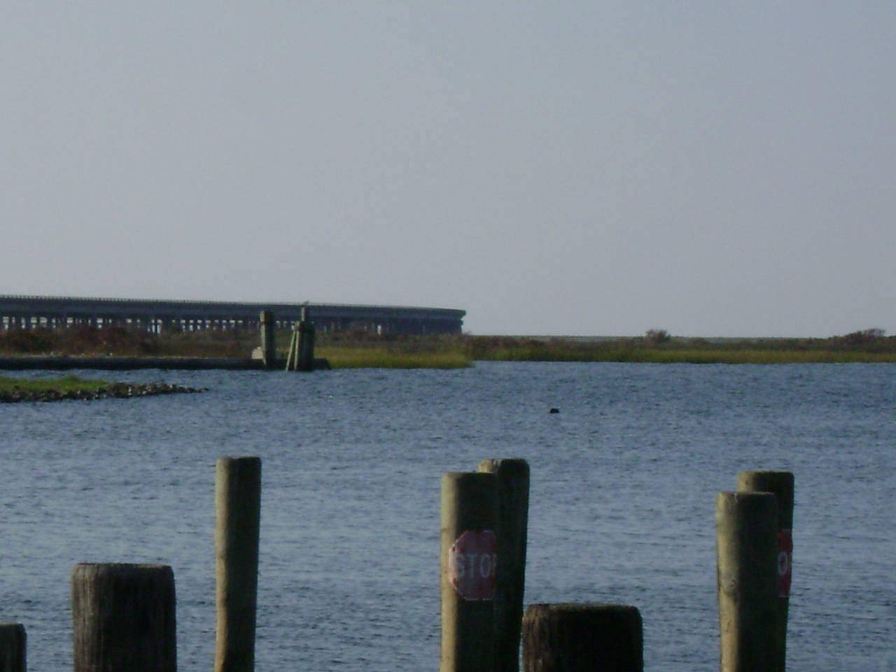 DSC05101