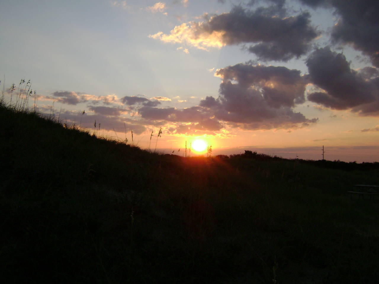 DSC05201