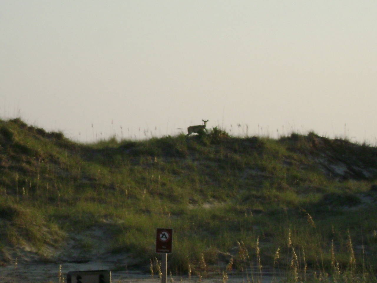 DSC05207
