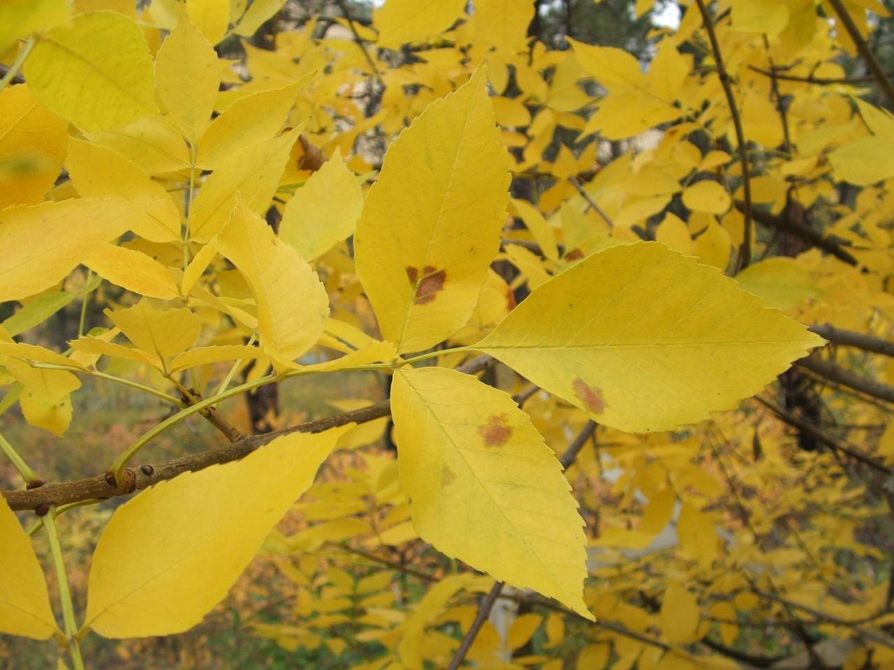 DSCF0316