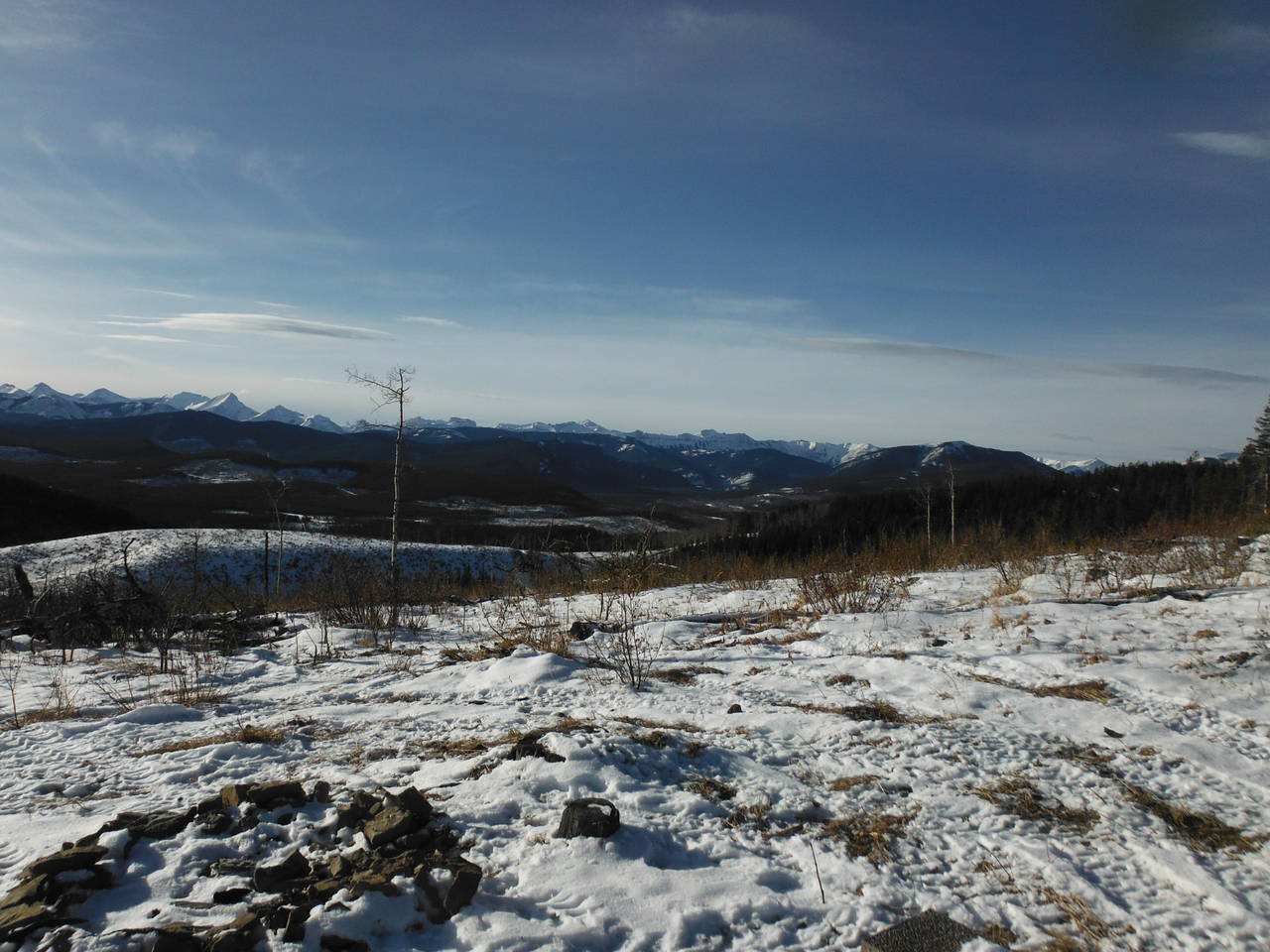 DSCF2635