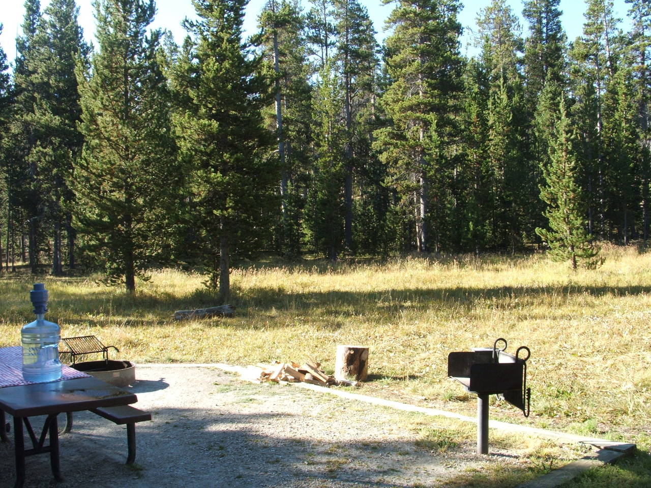 DSCF26841
