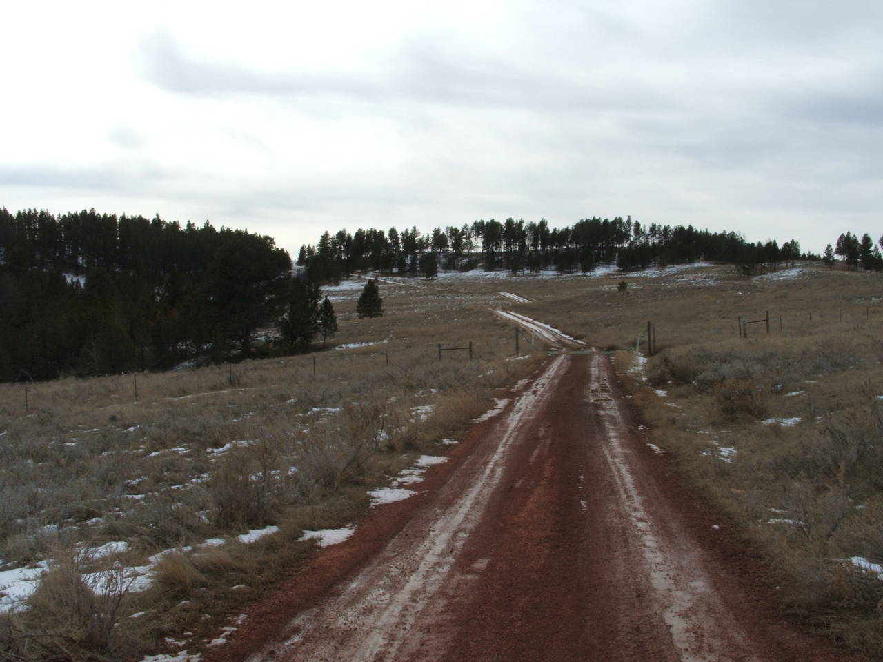DSCF29751
