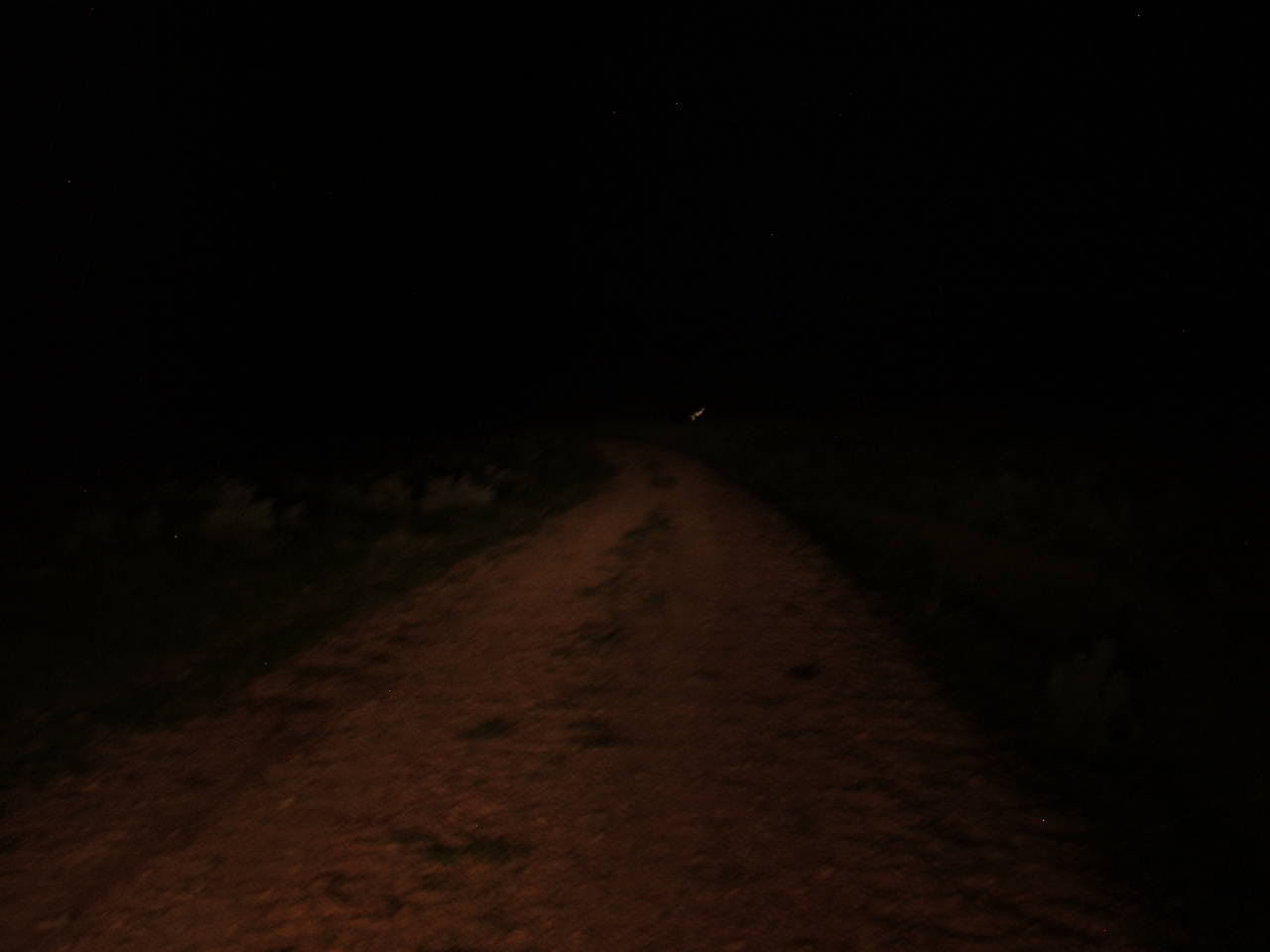 DSCF3086