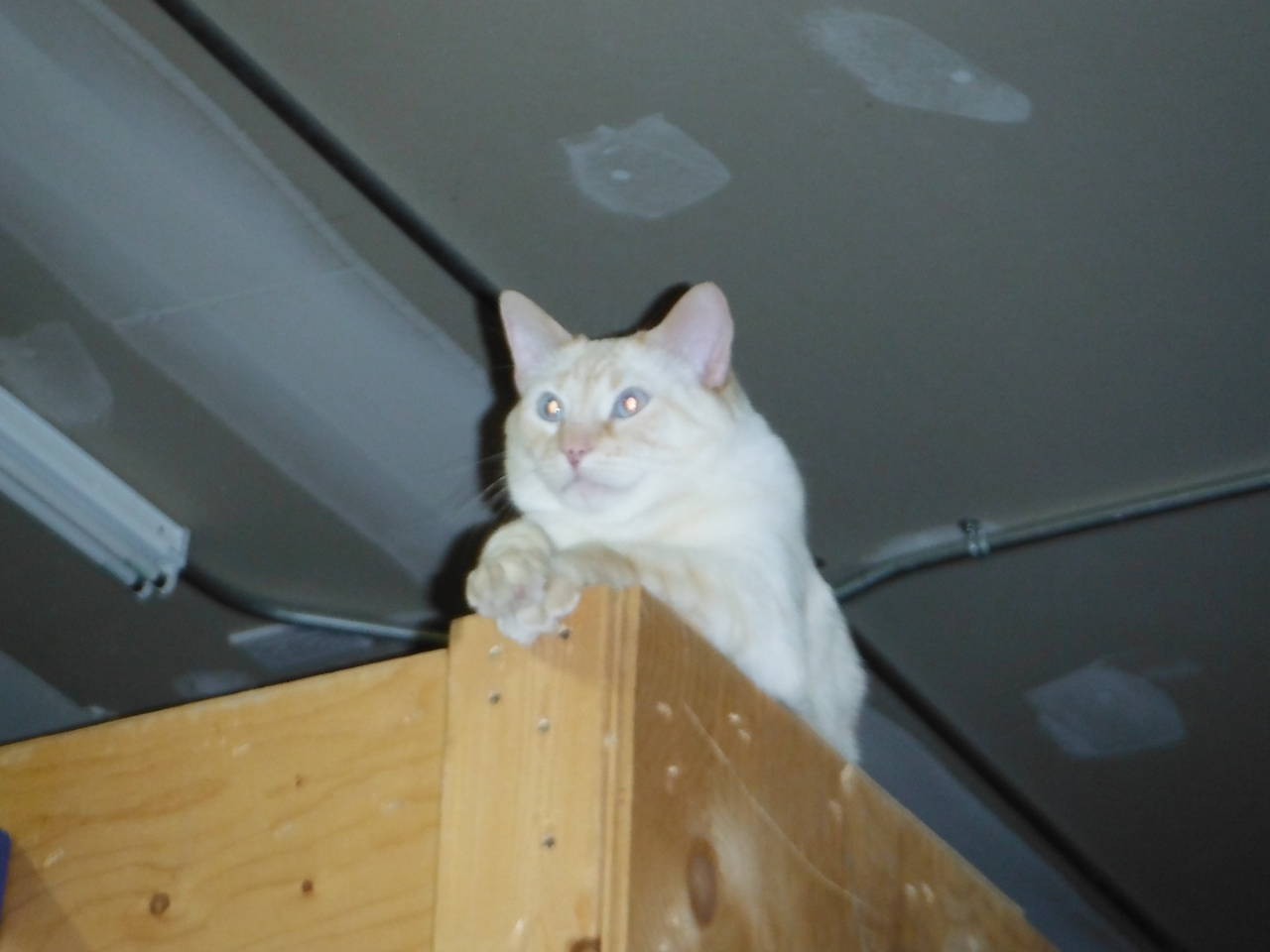 DSCF35851