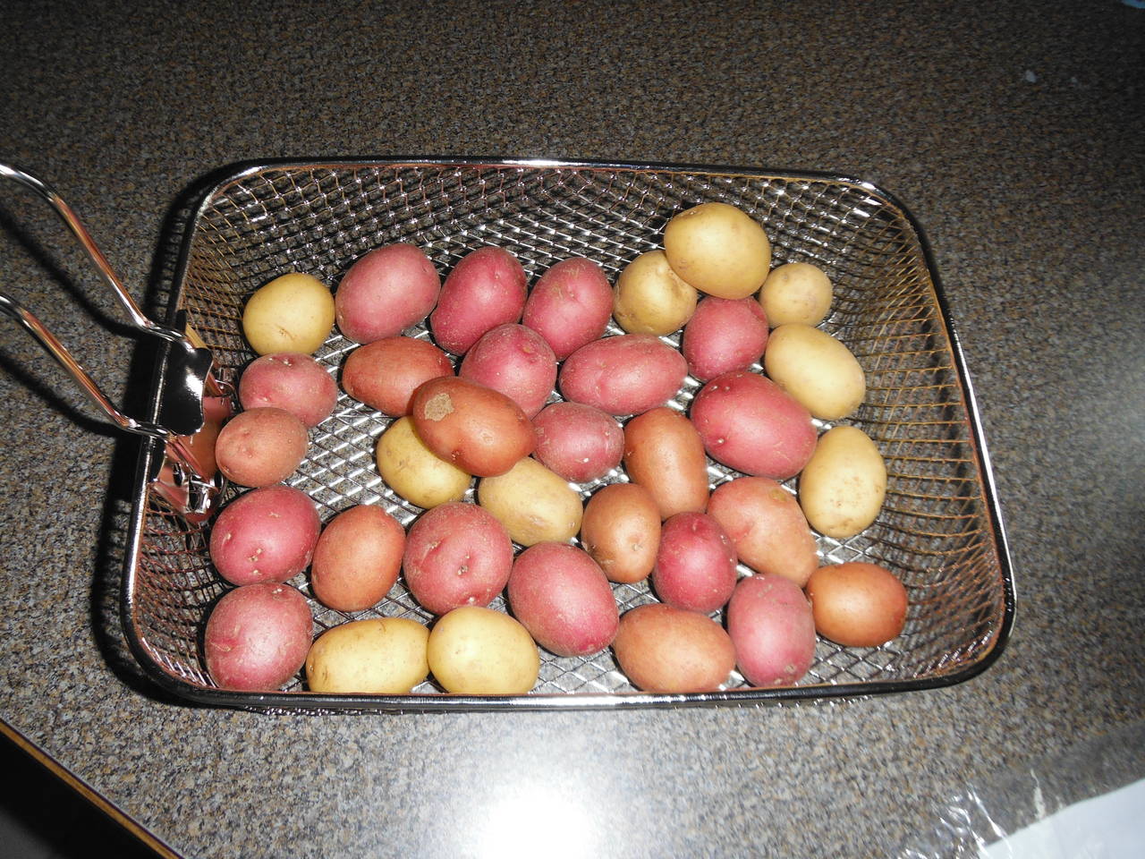 DSCF5580