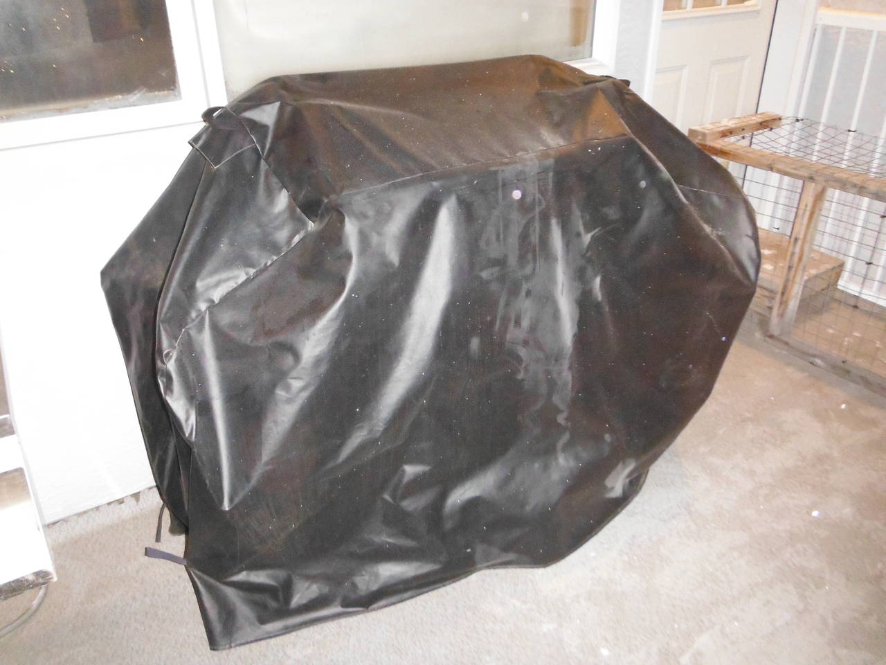 DSCF6010