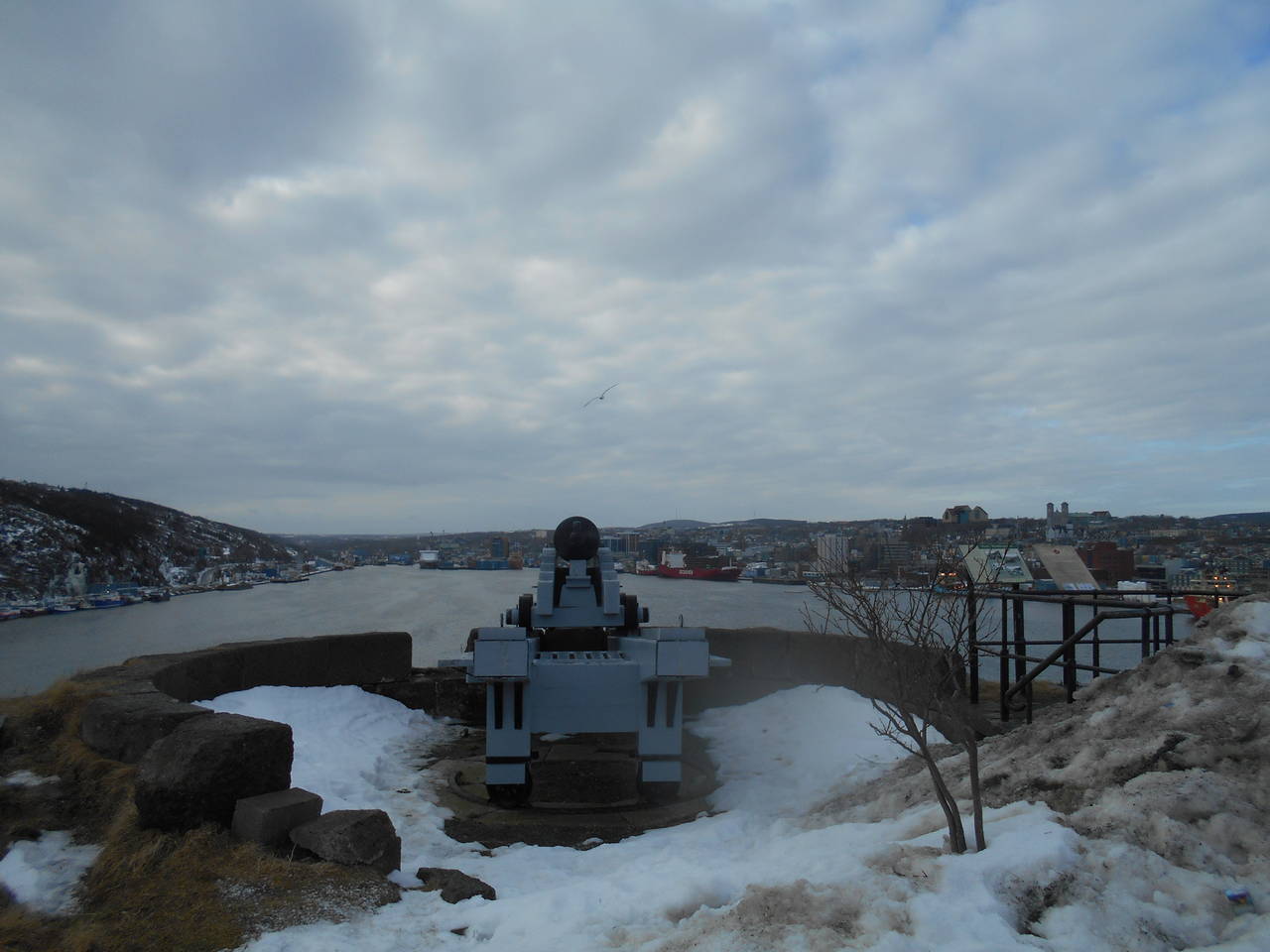 DSCN0253