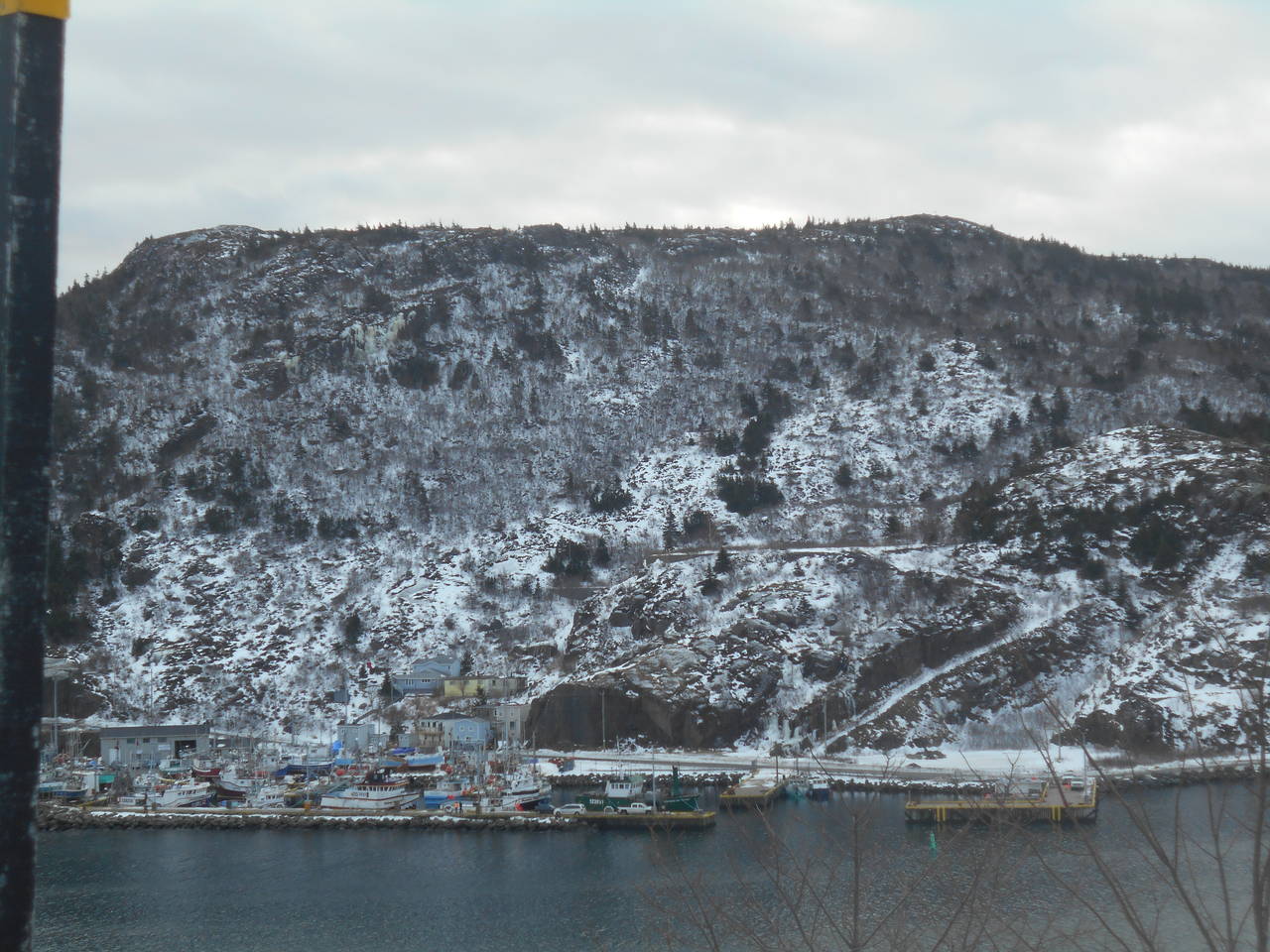 DSCN02541
