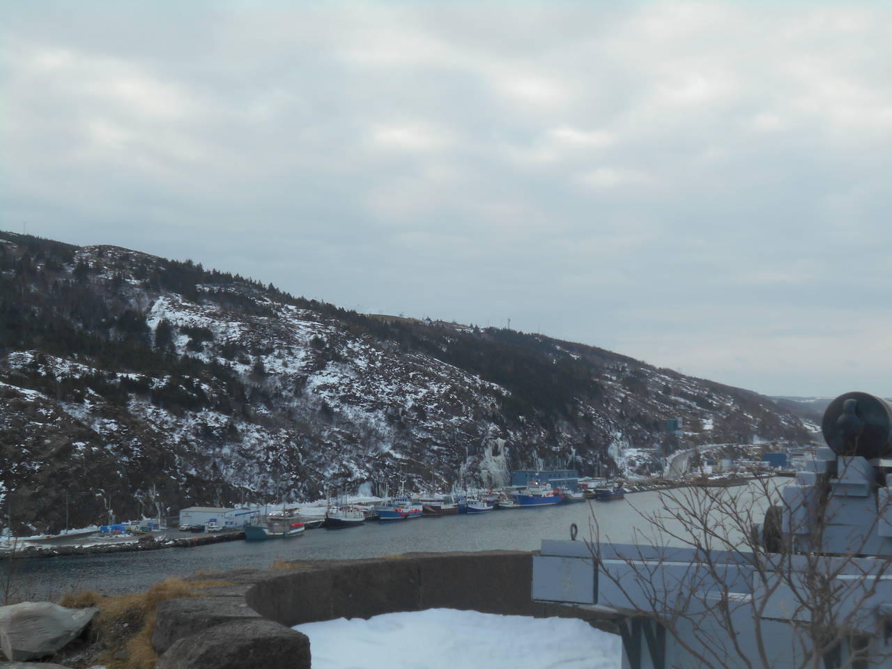 DSCN0255