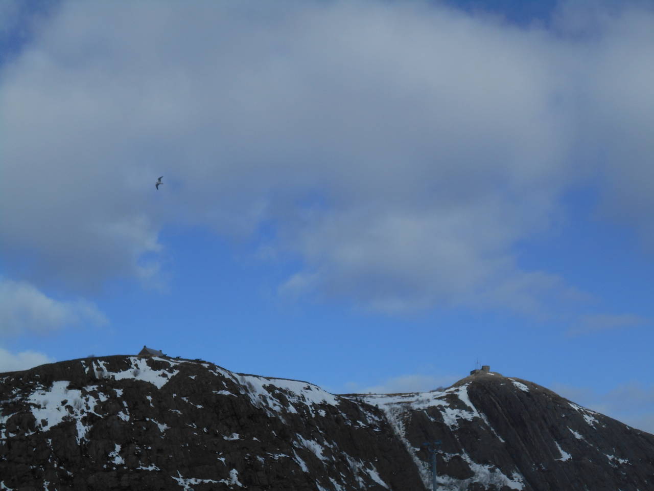DSCN0262