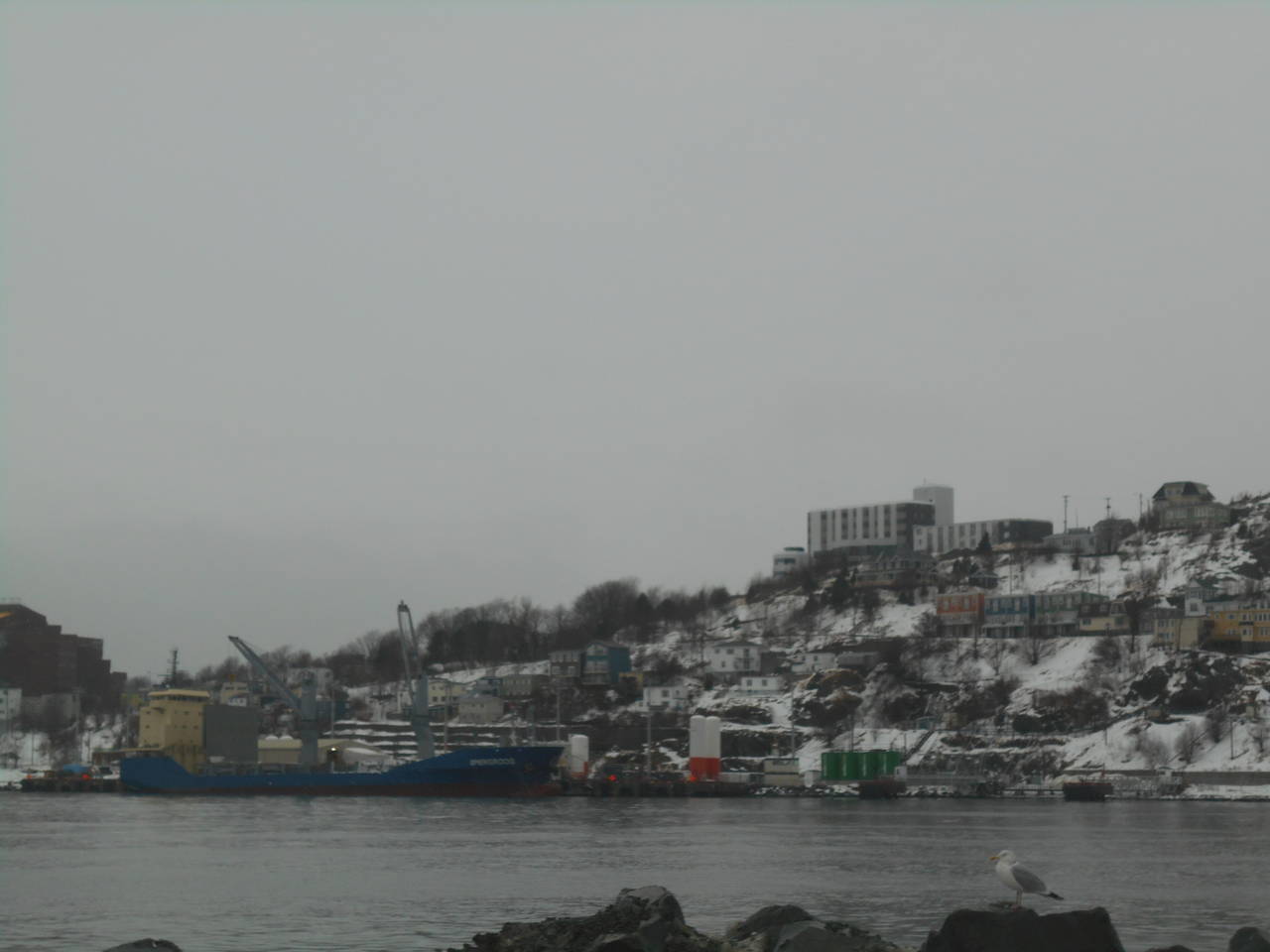 DSCN0283