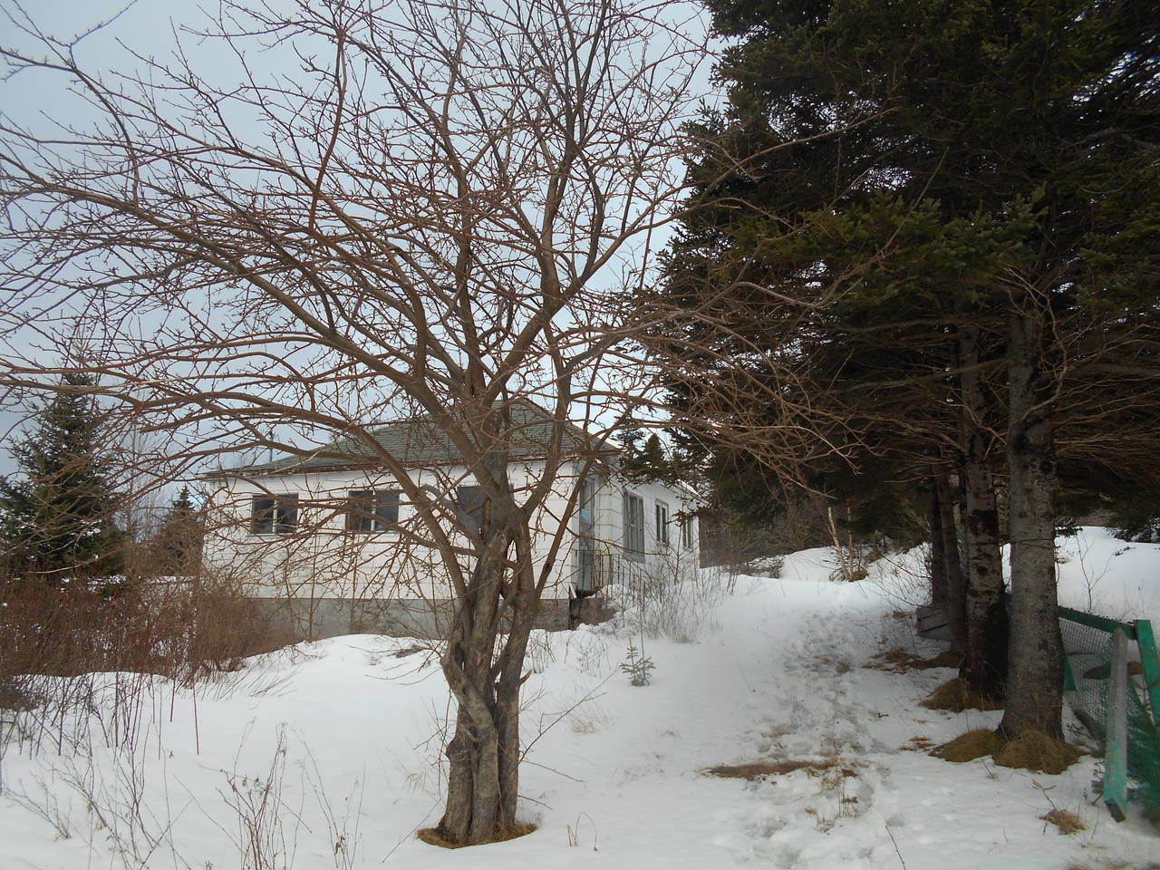 DSCN0433