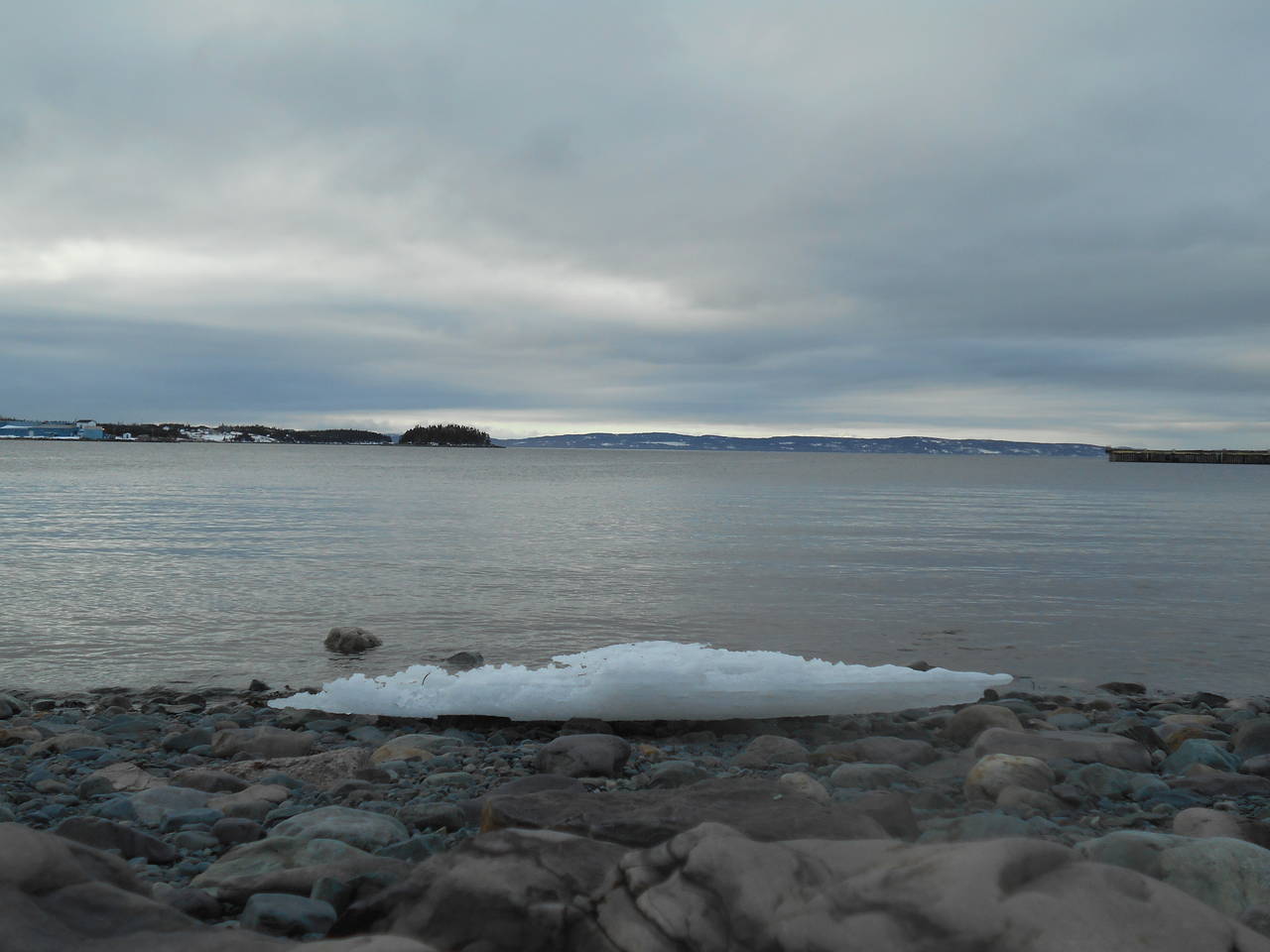 DSCN0447