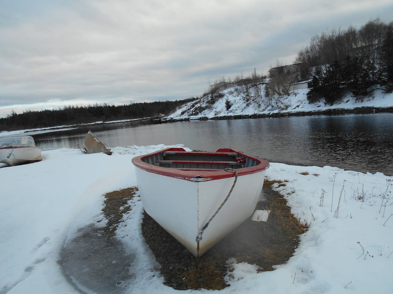 DSCN0453