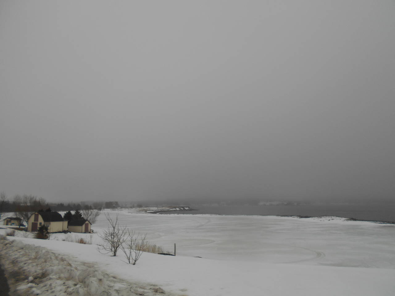 DSCN0484