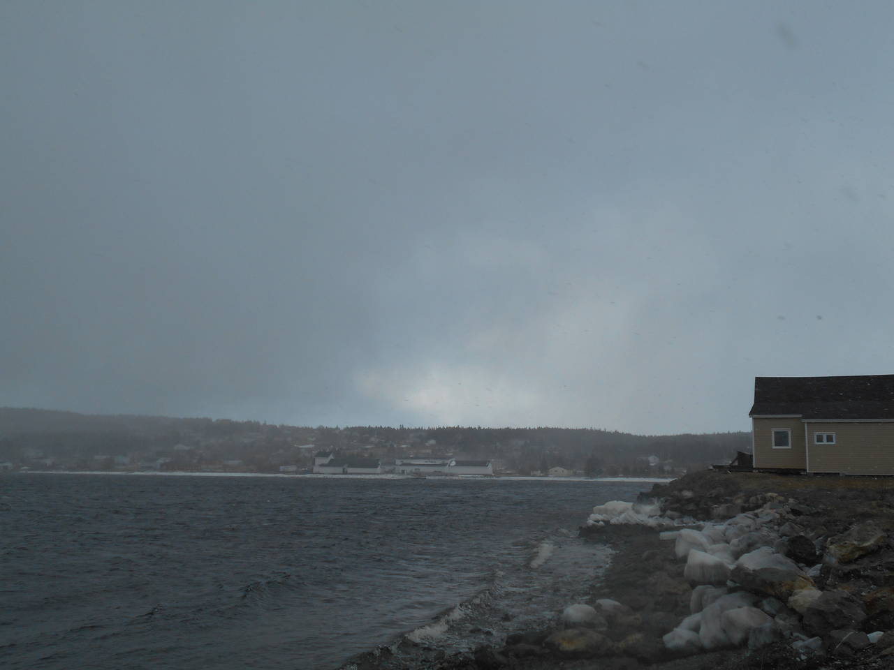 DSCN0544