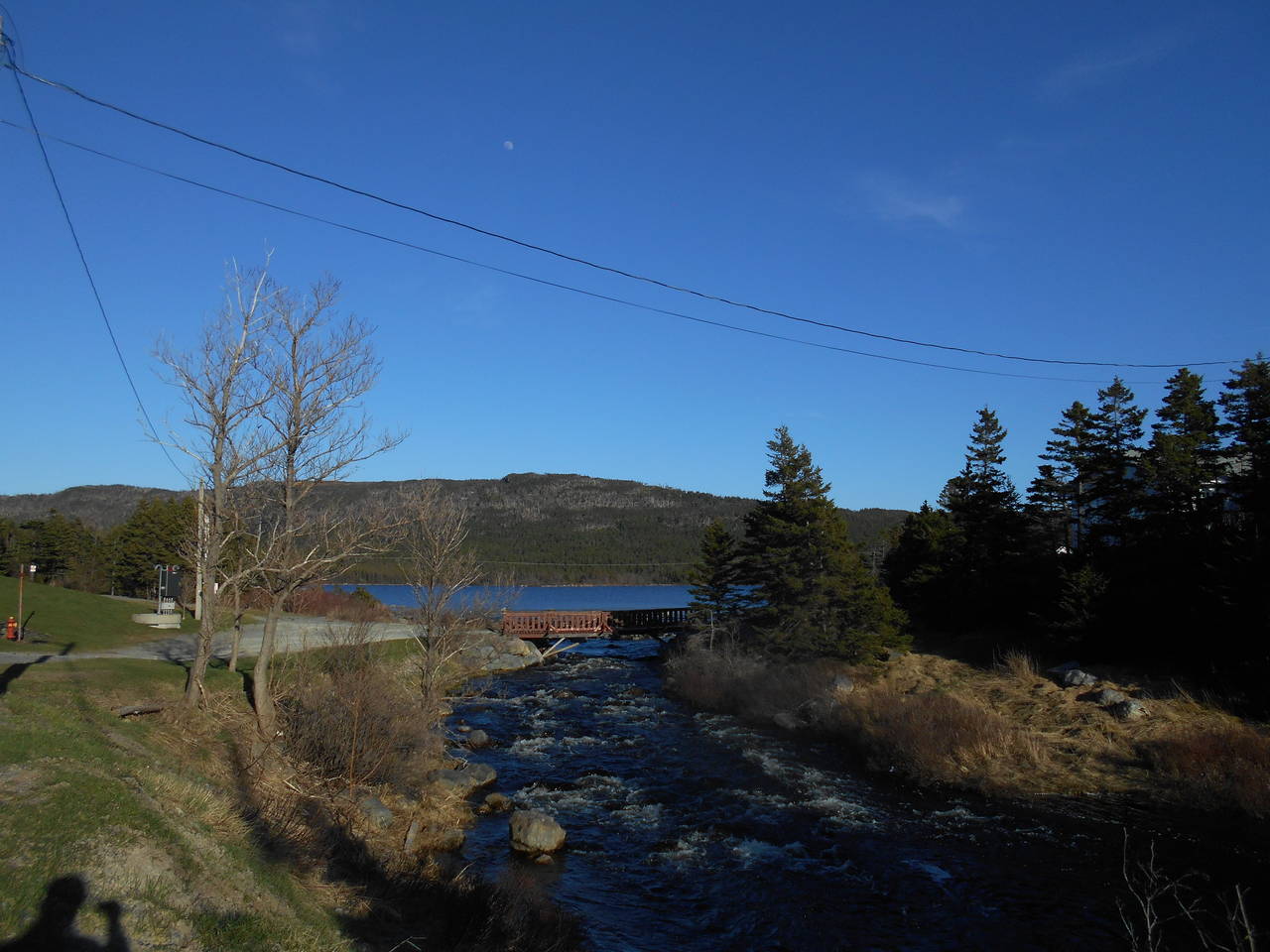 DSCN1201