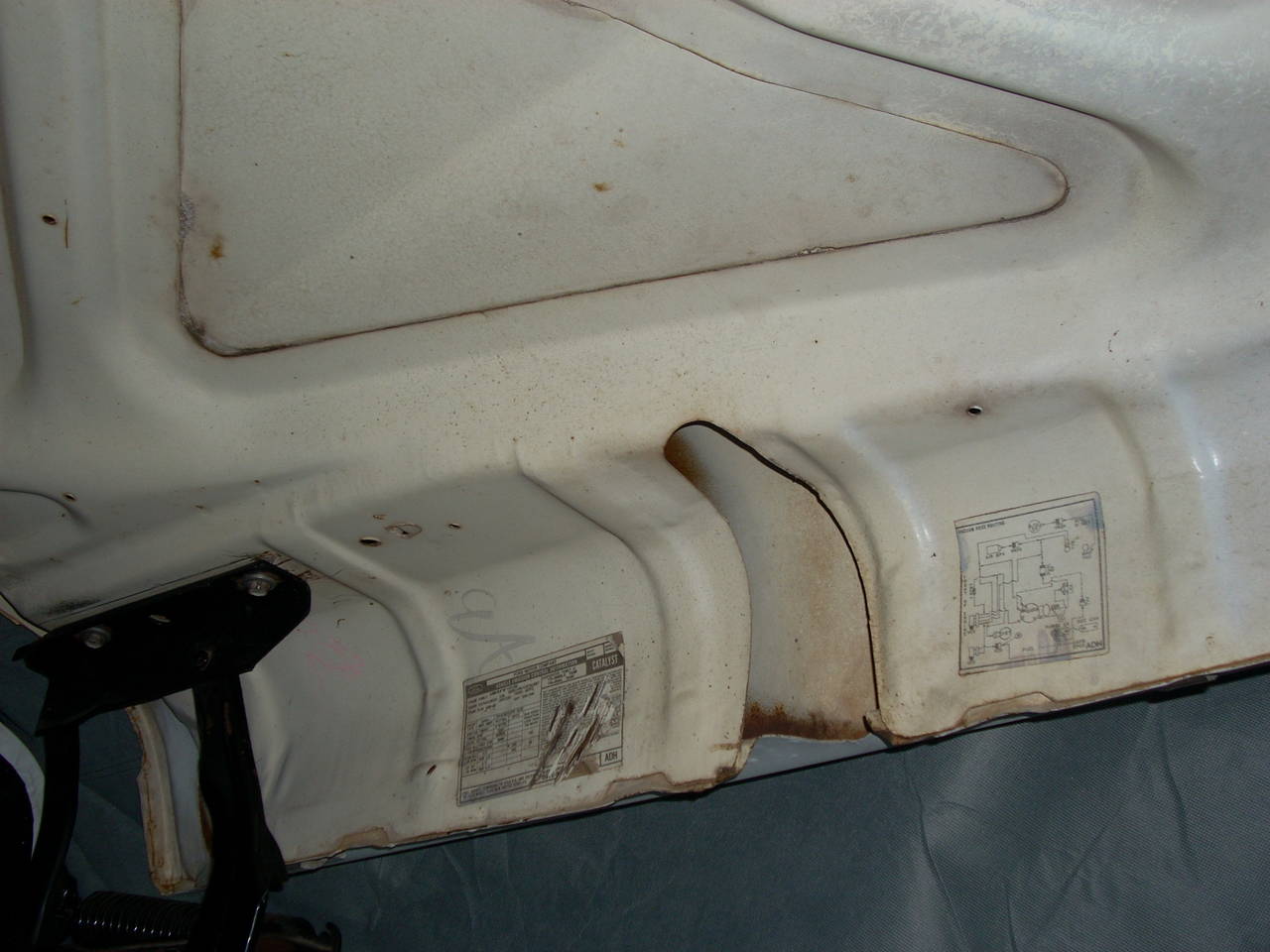 Engine &amp; vacum id tags location 79 f-250