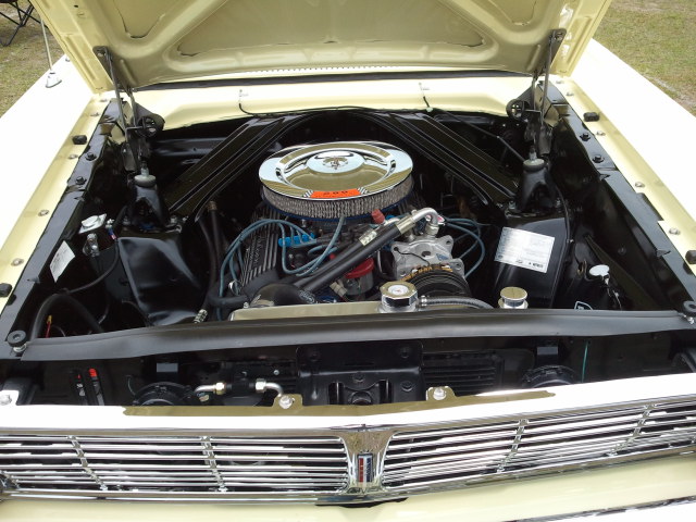 Falcon
