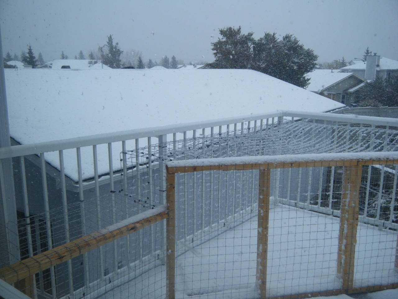 first_snow_001