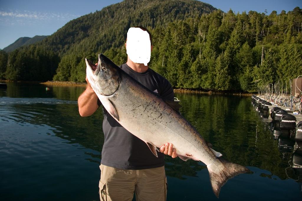 fish8