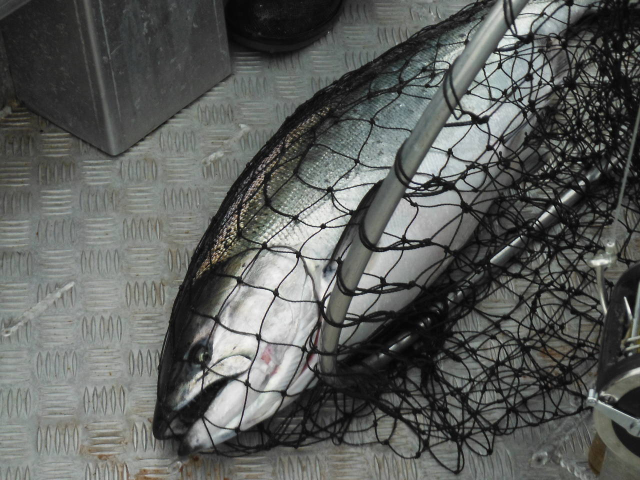 Fishing_trip_086