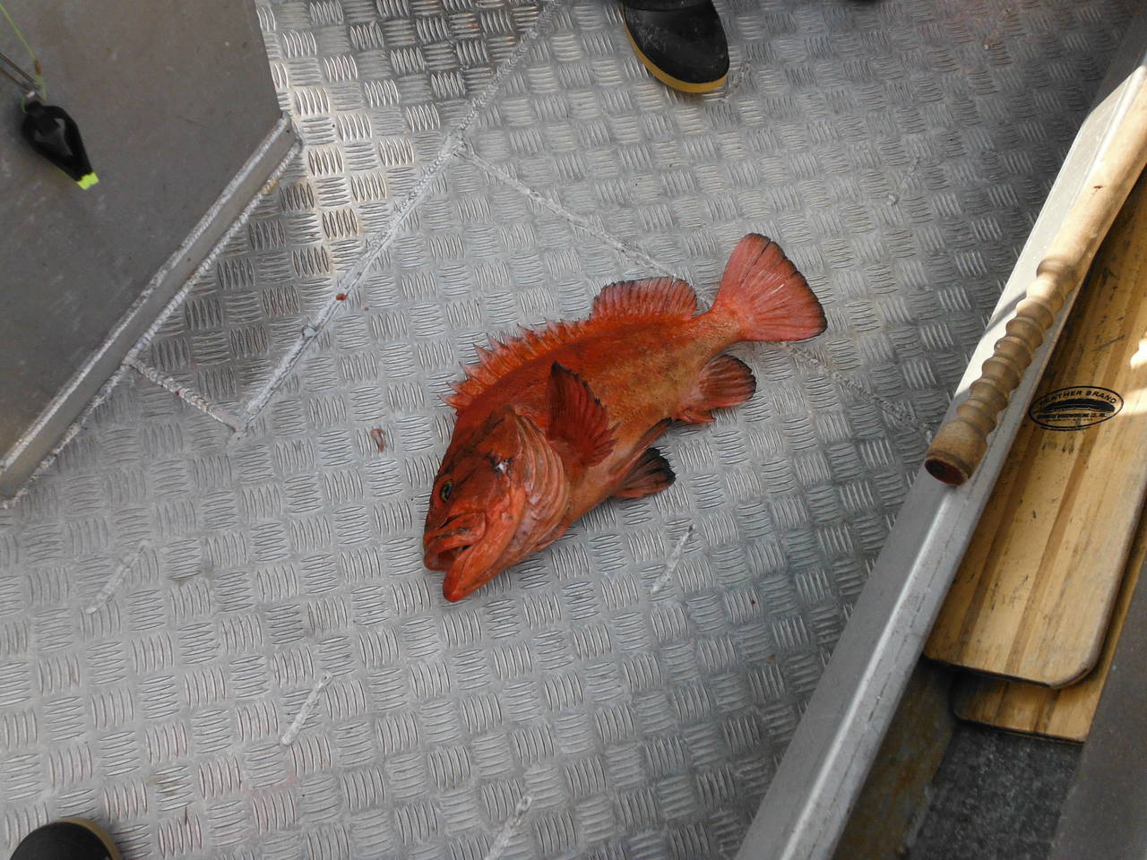 Fishing_trip_107