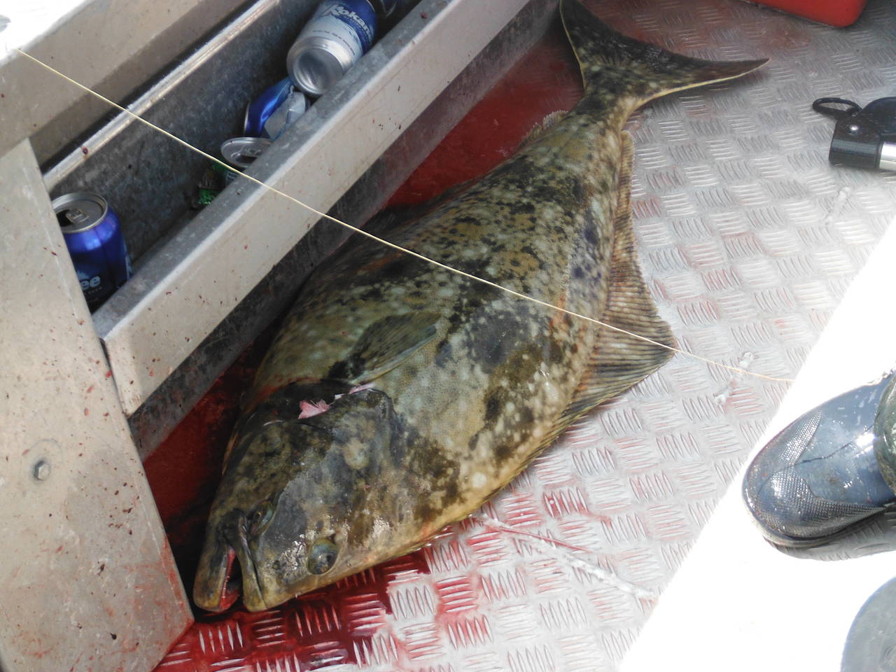 Fishing_trip_132