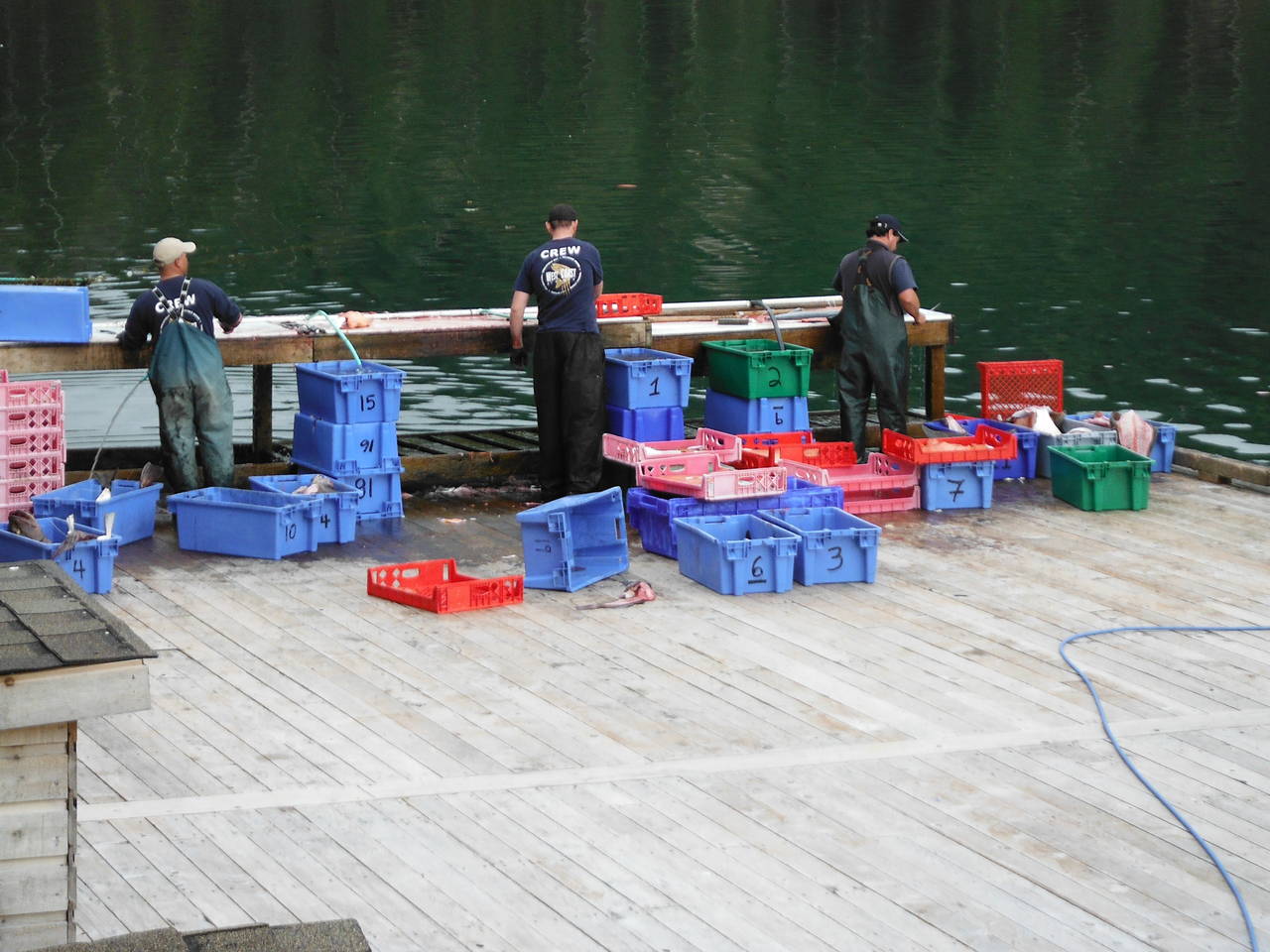 Fishing_trip_138