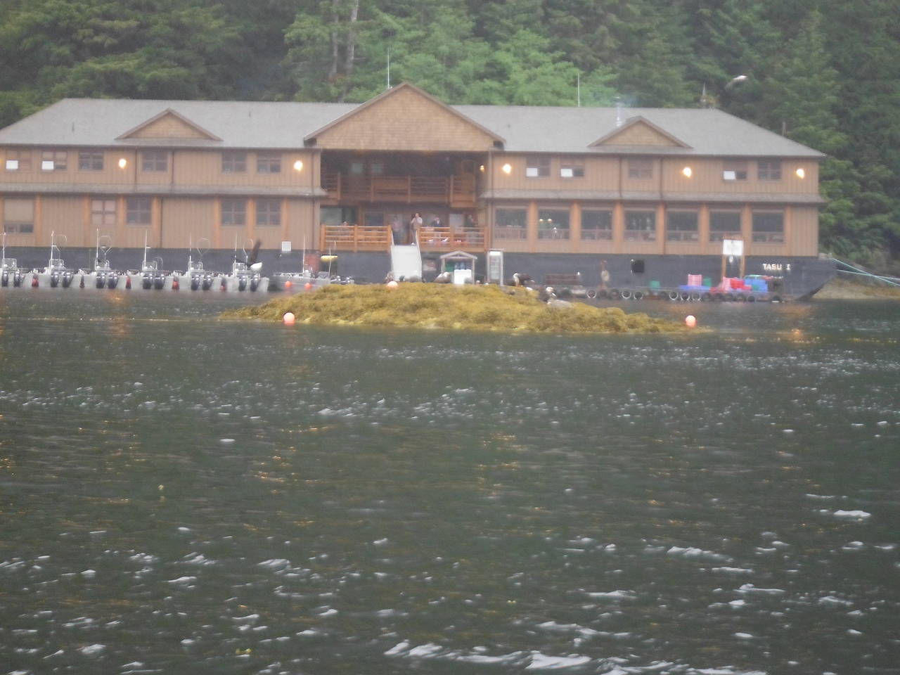 Fishing_trip_199