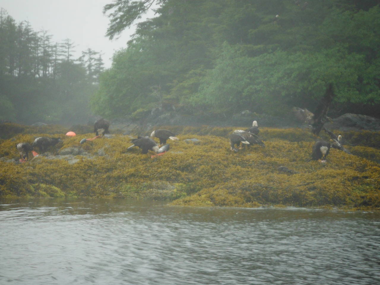 Fishing_trip_205