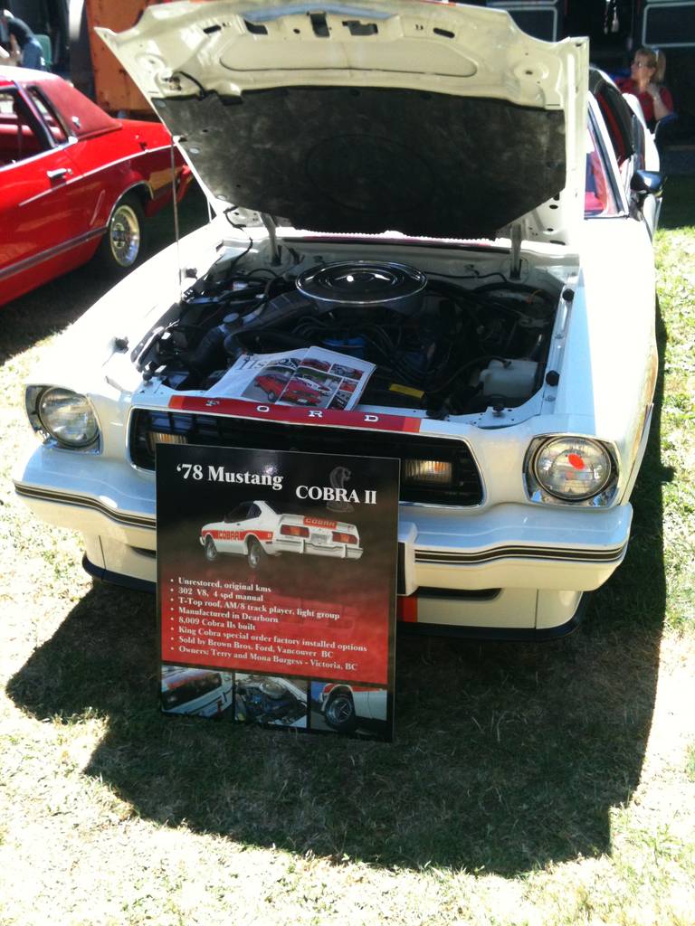 Ford_and_Friends_023