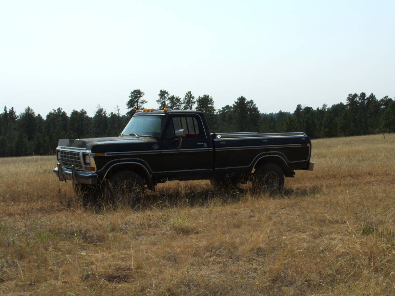 forest trip