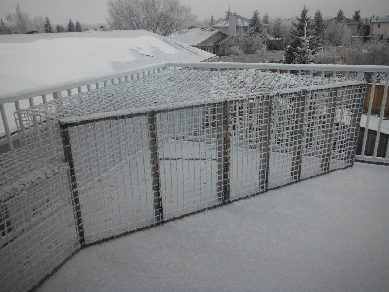 frosty_again_002