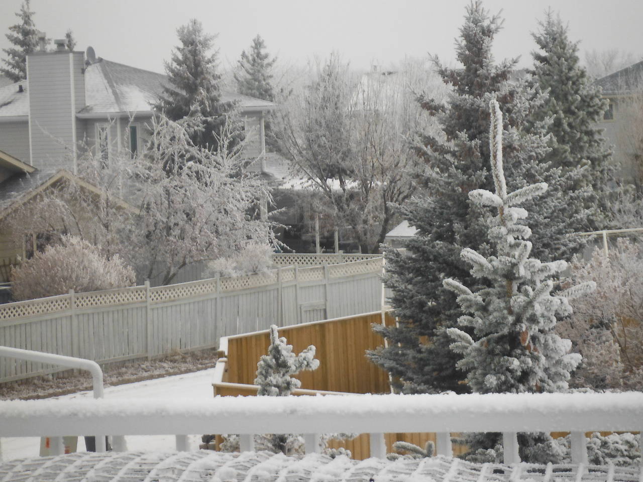 frosty_again_004