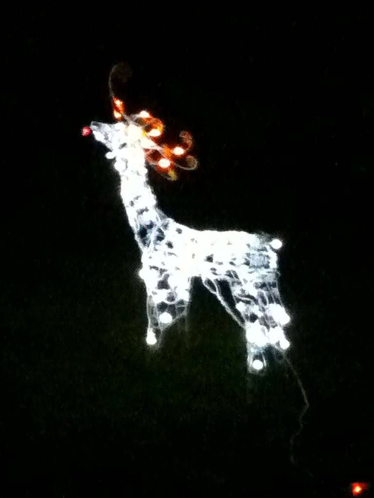 Ho_Ho