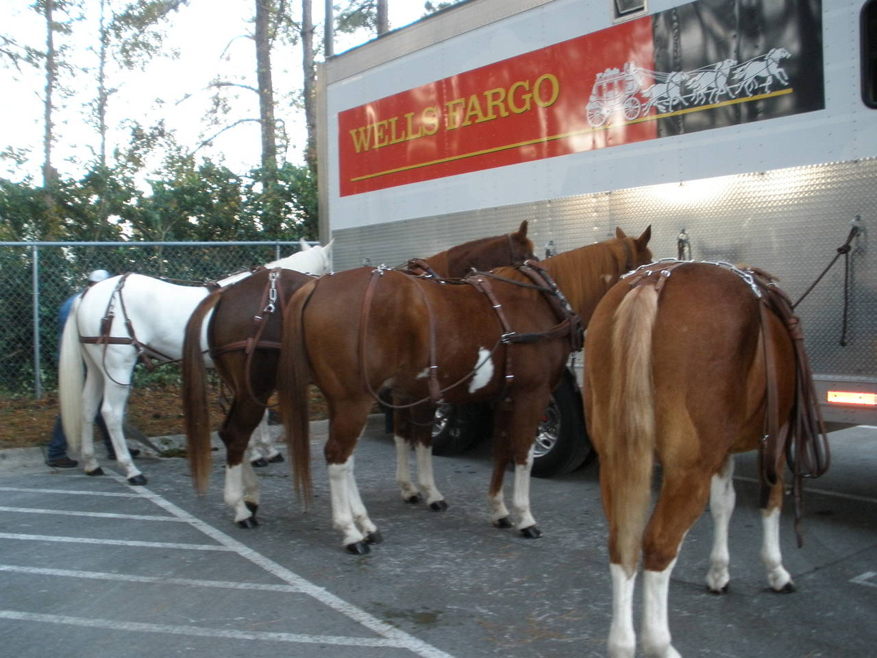 Holiday Parade Jacksonville NC