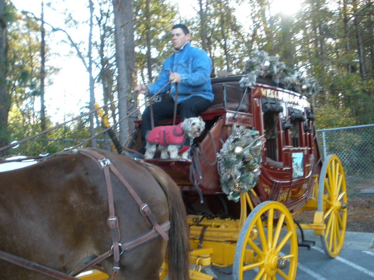 Holiday Parade Jacksonville NC