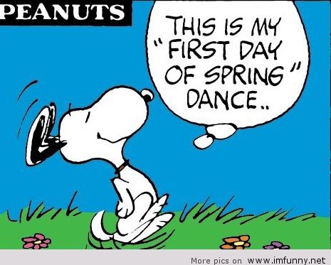 How-I-feel-at-first-day-of-Spring