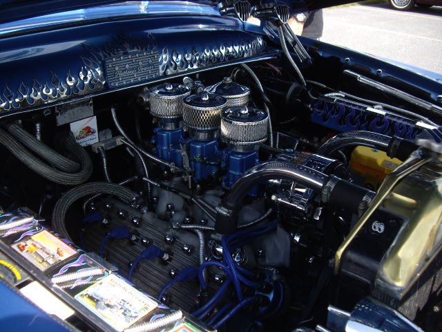 IMGP5628