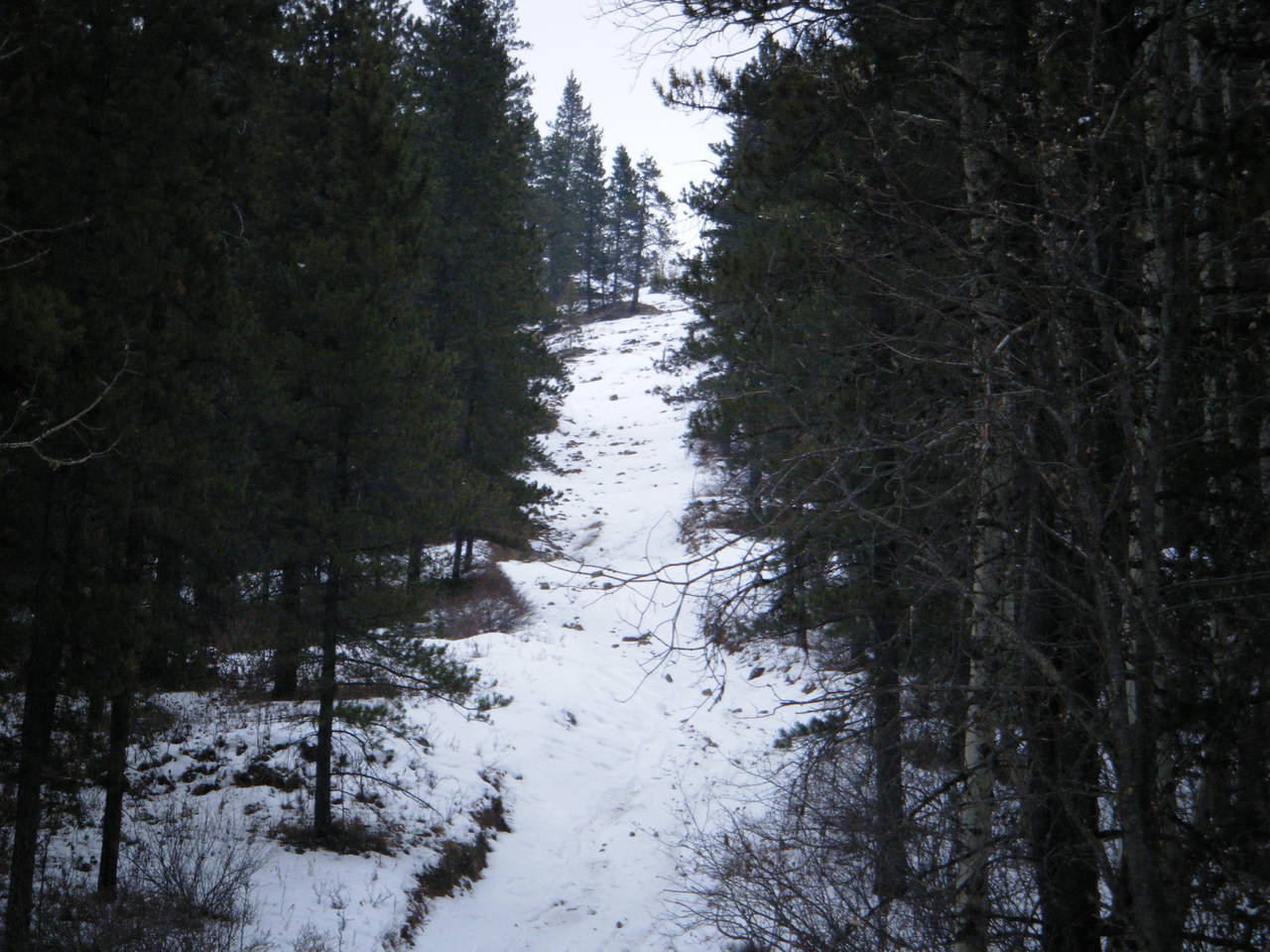 Jan_30_2010_Quad_028