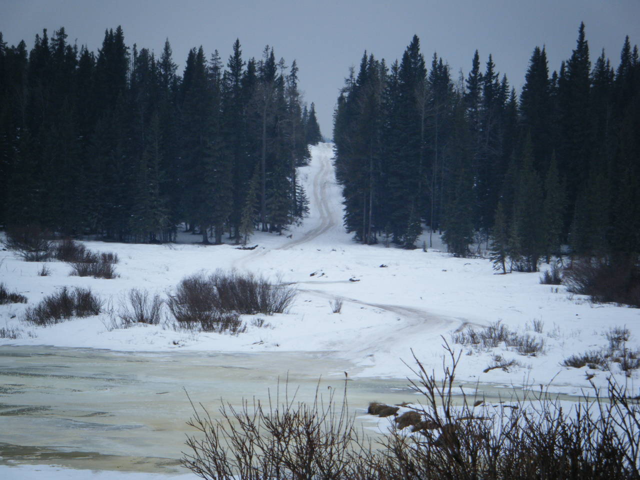 Jan_30_2010_Quad_031