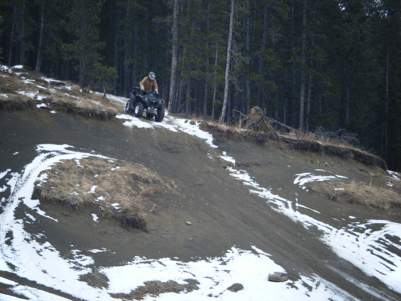 Jan_30_2010_Quad_036