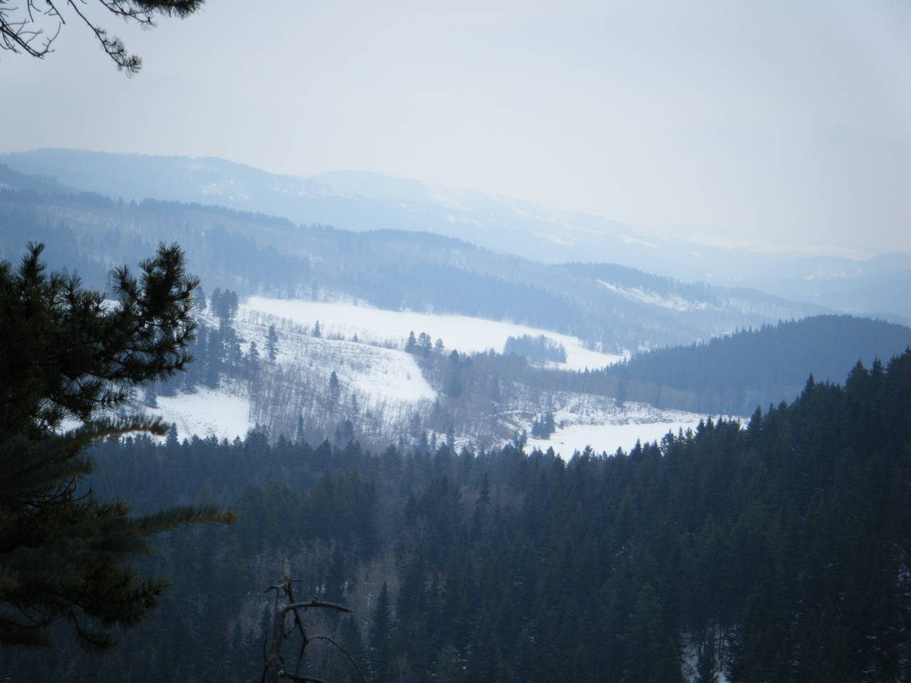 Jan_30_2010_Quad_047