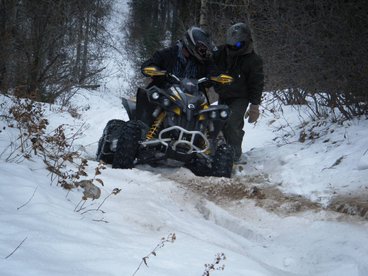 Jan_30_2010_Quad_049