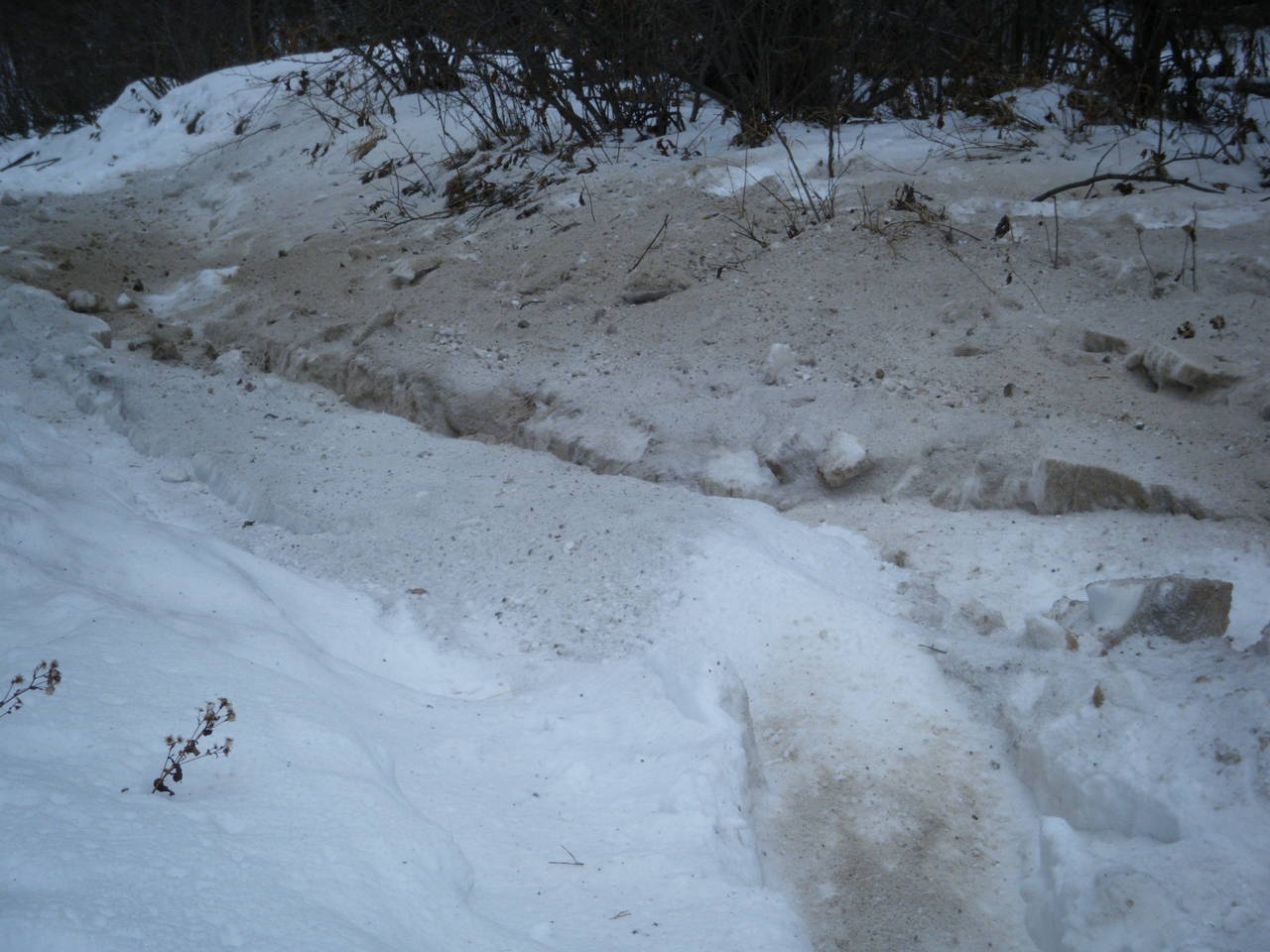 Jan_30_2010_Quad_052