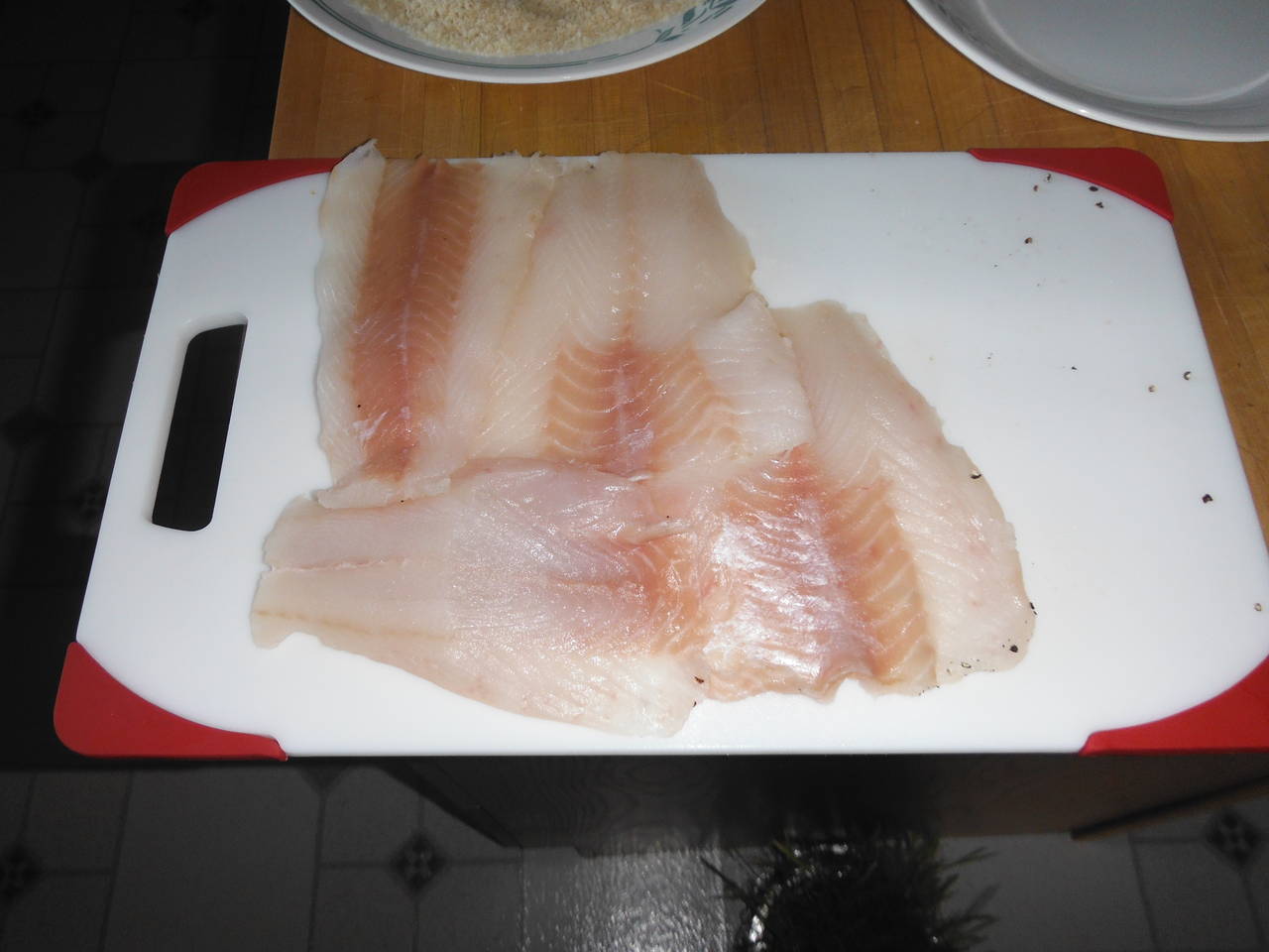 lingcod_001